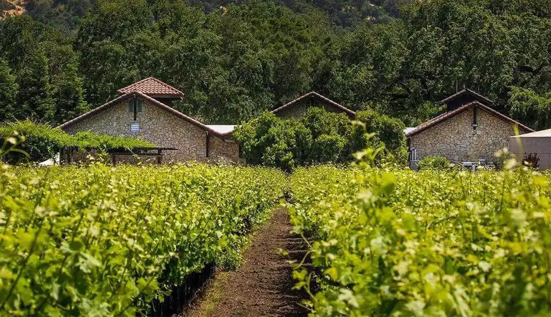 Bell Wine Cellars