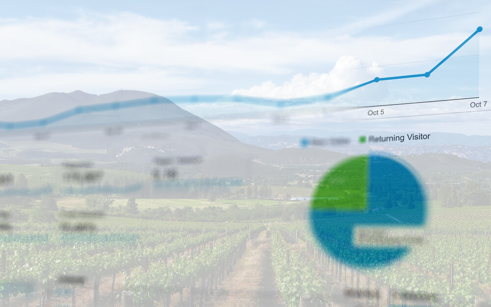 Case Study: Impact of Long-Term SEO on Winery Websites