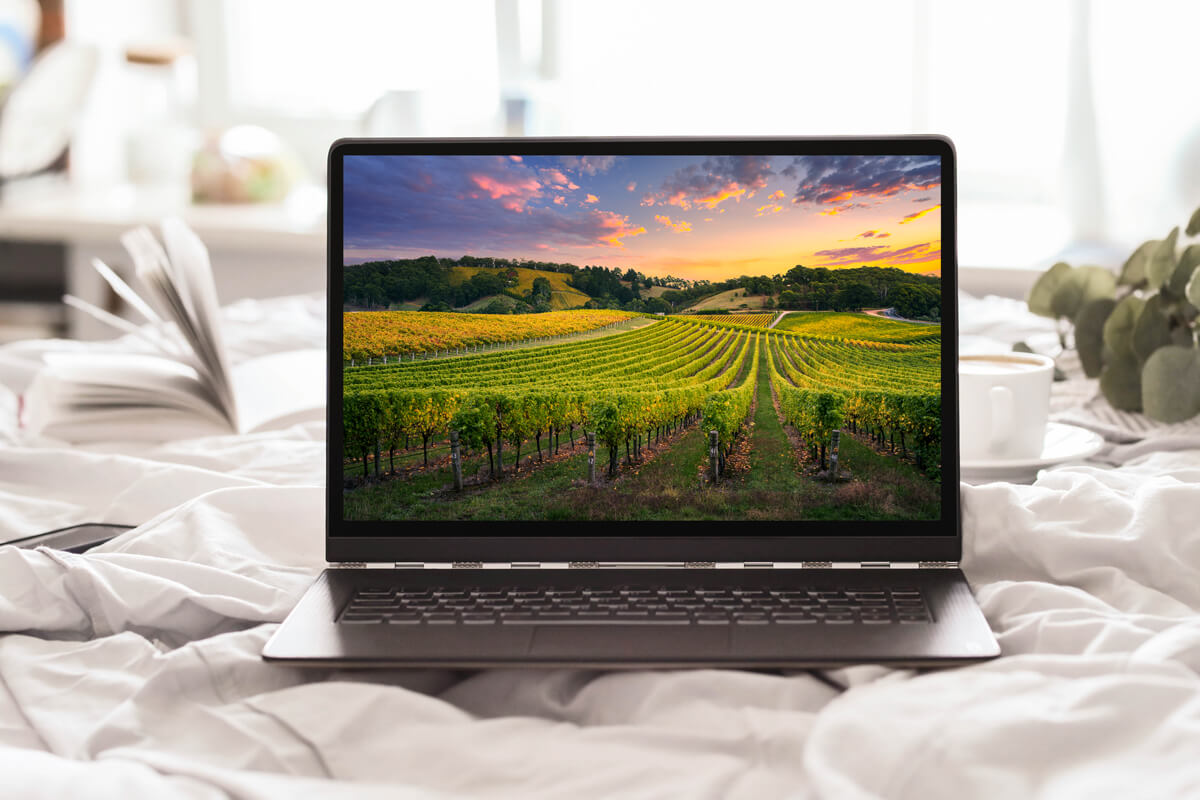 laptop on bed with picture of vineyard