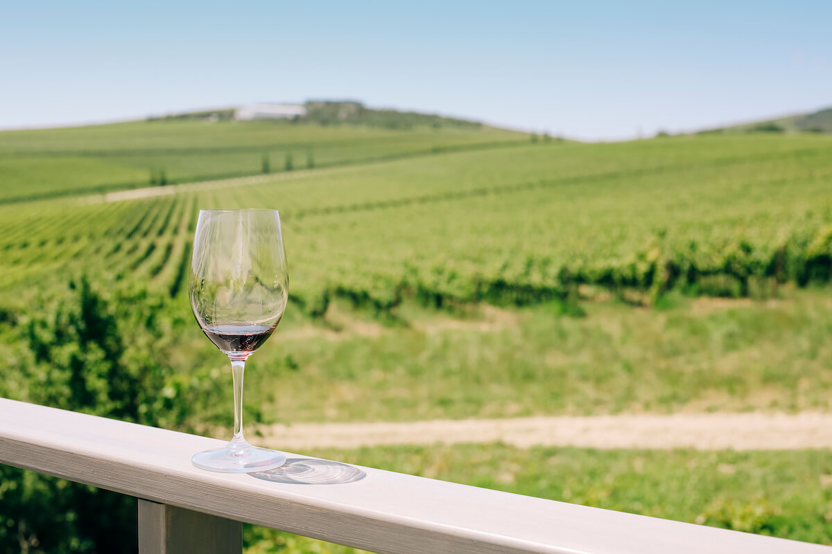 glass with red wine on vineyard background 2022 11 17 16 48 06 utc