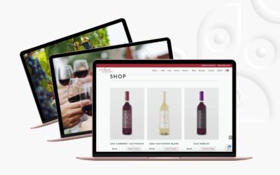 Winery Ecommerce Website on a Budget? Creative Strategies for Big Results