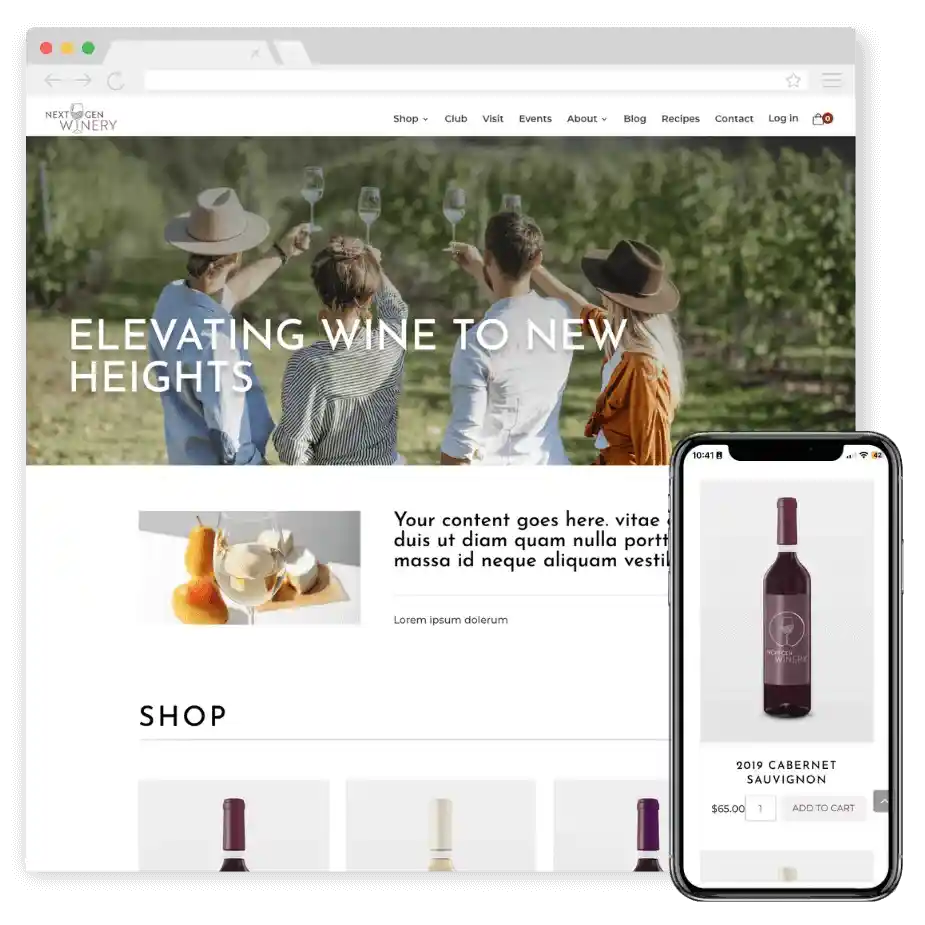 layout napa image new.png