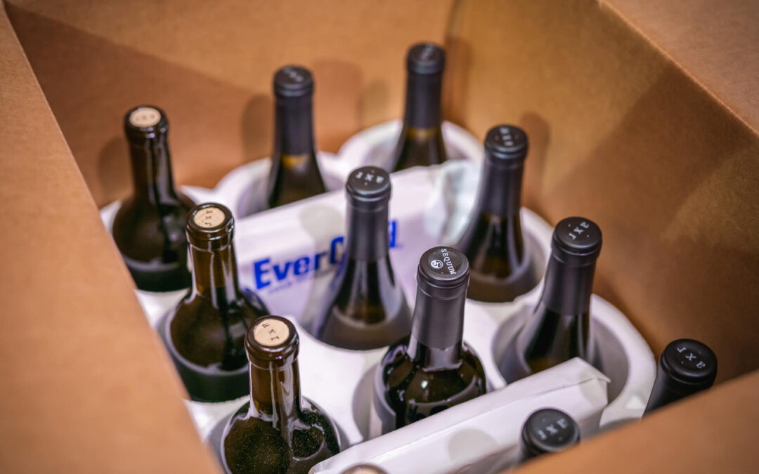 Bodega Shipping Co