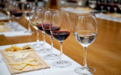 How to Build Winery Topic Clusters That Rank