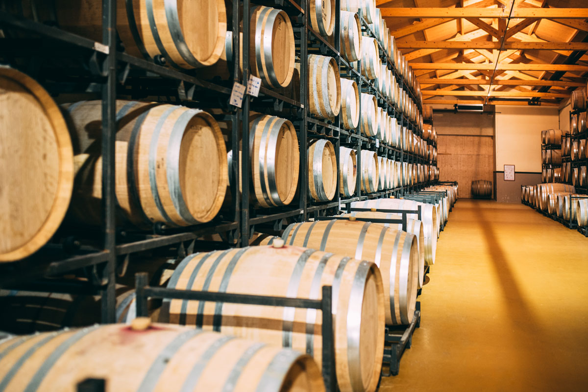 wine barrels at winery